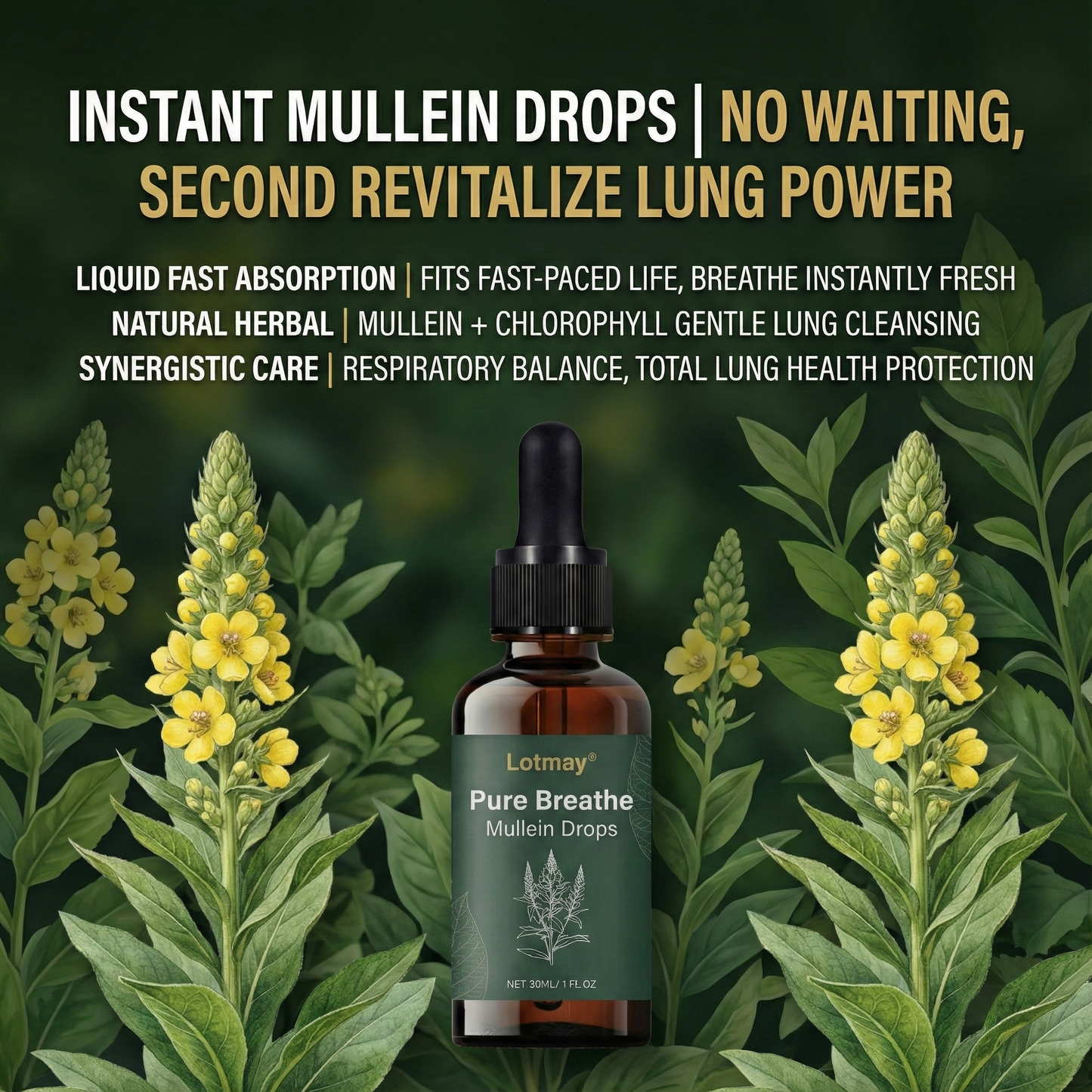 Lotmay® Pure Breathe Mullein Drops